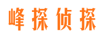 禄丰市侦探调查公司